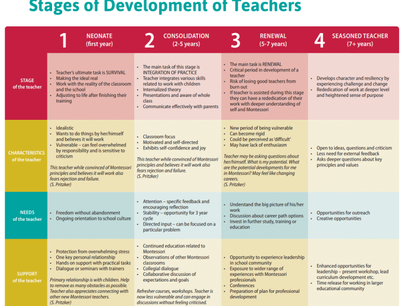 các giai đoạn phát triển của giáo viên Montessori